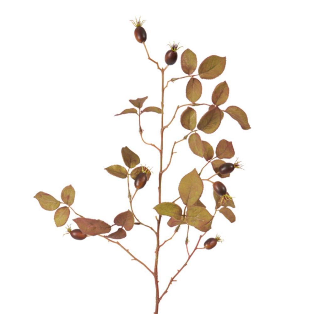 Feuillage d'églantier artificiel marron et vert h100 — vue 4
