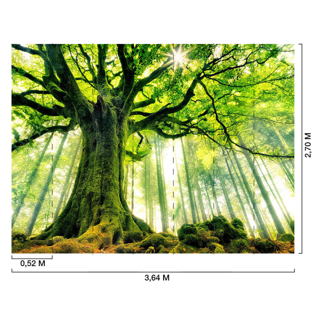 Papier peint panoramique hetre vert 364x270cm — vue 3