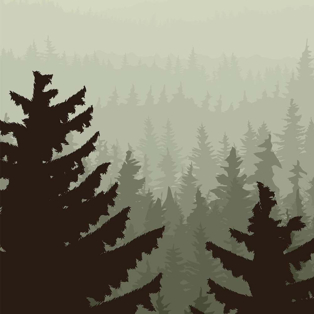 Papier peint panoramique exotique dessin de foret 364x270 cm — vue 4