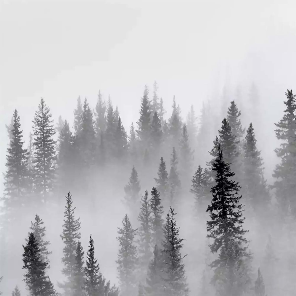 Papier peint panoramique foret dans le brouillard 364x270 cm — vue 4