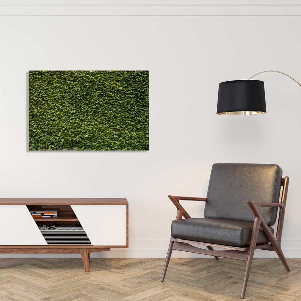 Tableau nature mur de lierres toile imprimée 120x80 cm