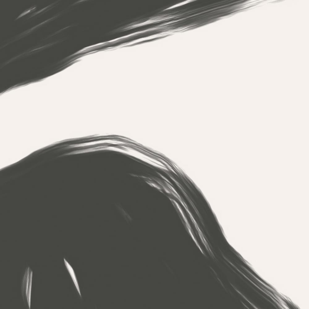 Papier peint fauve, gris foncé 300 x 250cm — vue 4