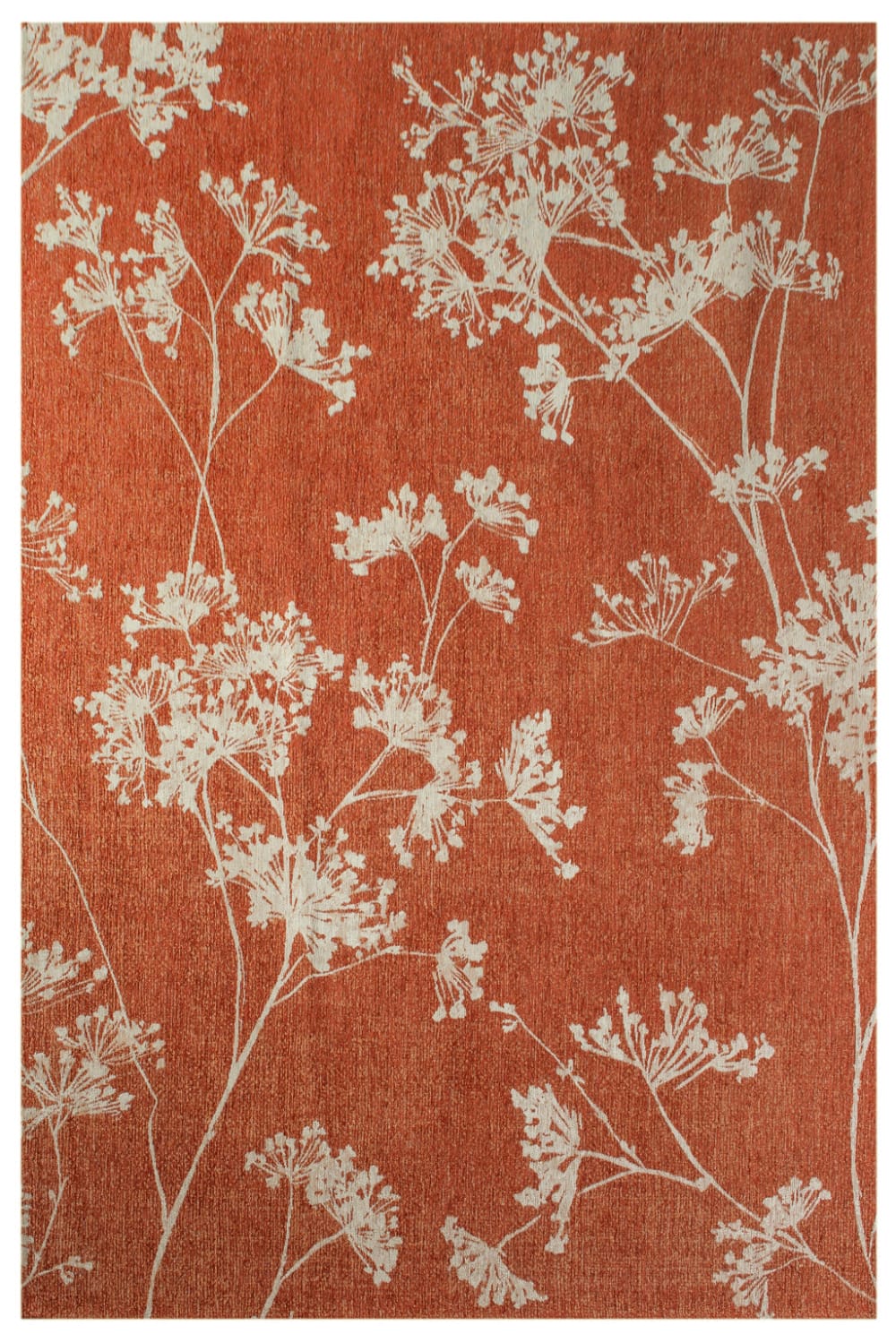 Tapis salon et chambre - plat