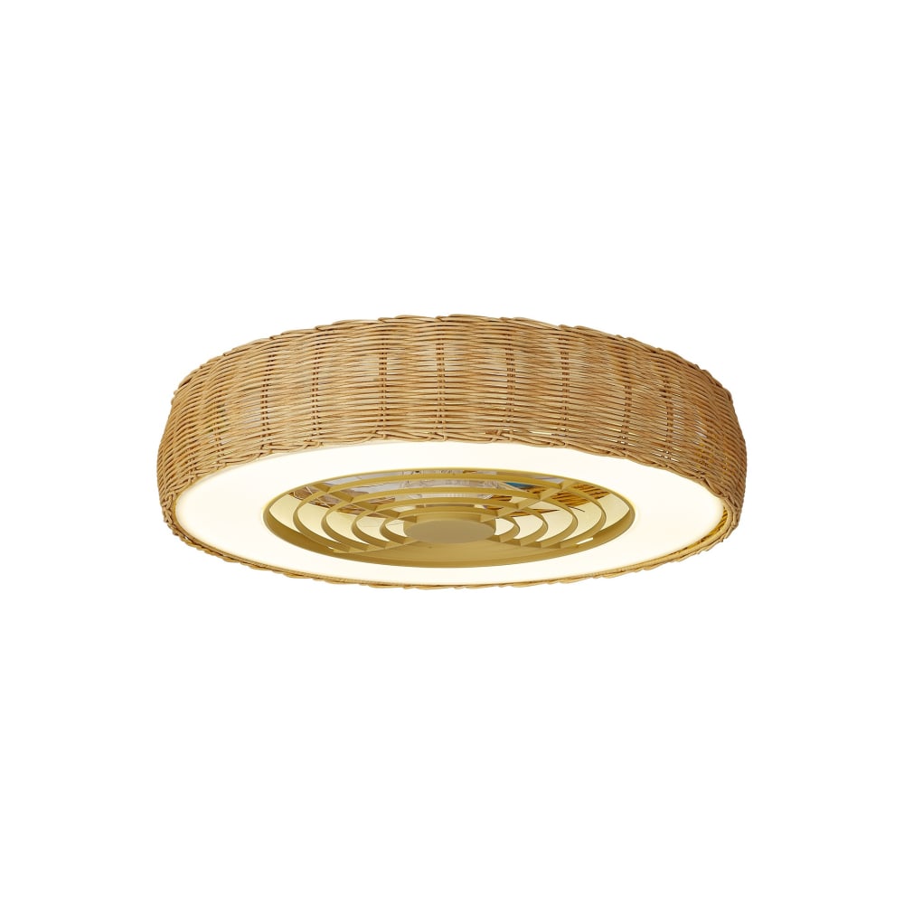 Ventilateur en plastique