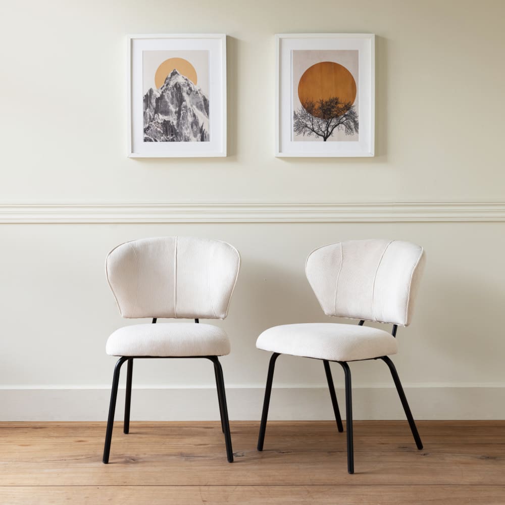 Lot de 2 chaises en velours