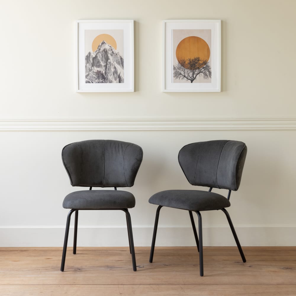 Lot de 2 chaises en velours