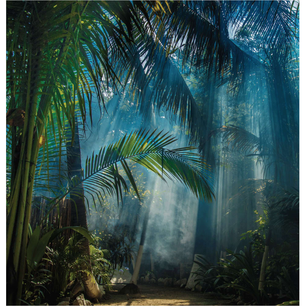 Papier Peint jungle tropicale 250x240cm