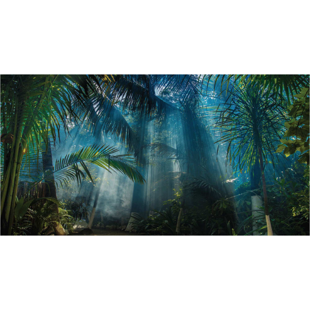 Papier Peint jungle tropicale 250x480cm