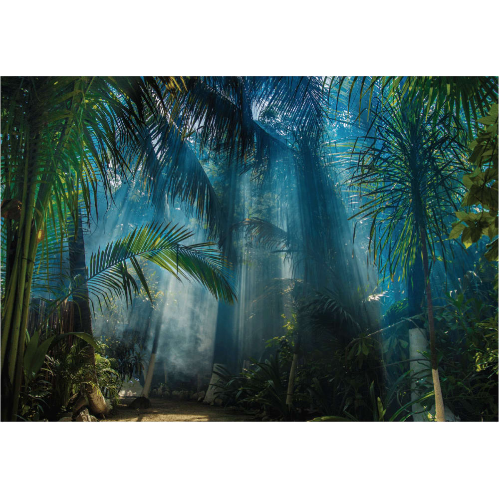 Papier Peint jungle des tropiques 250x360cm