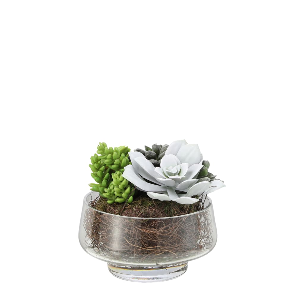 Mix de succulentes artificielle en vase transparent verte H16