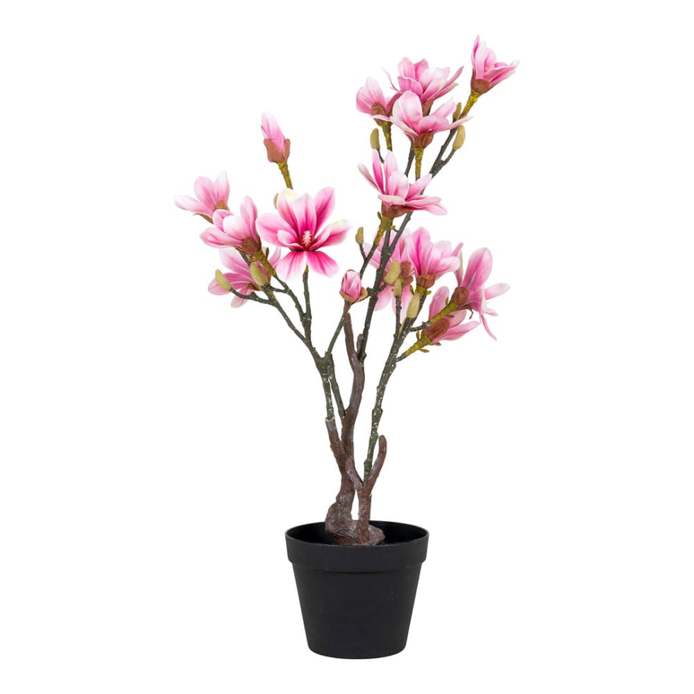 Plante rose artificielle intérieur