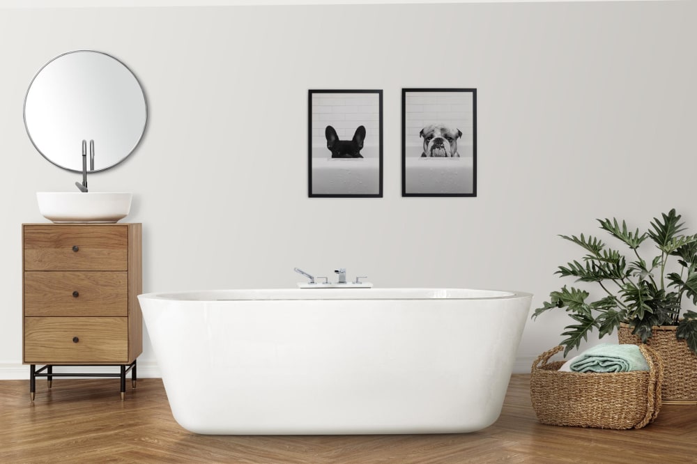 Tableau avec cadre noir 40x30 Bouledogue dans la baignoire