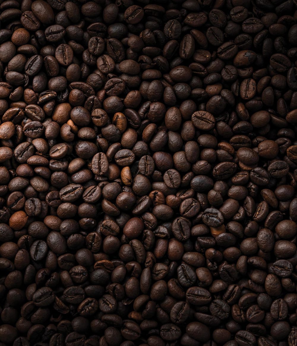 Fond de hotte décorative, café grains marron 60x70  cm - Maisons du Monde