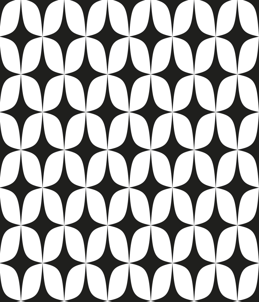 Fond de hotte décorative, psyké noir et blanc 60x70  cm