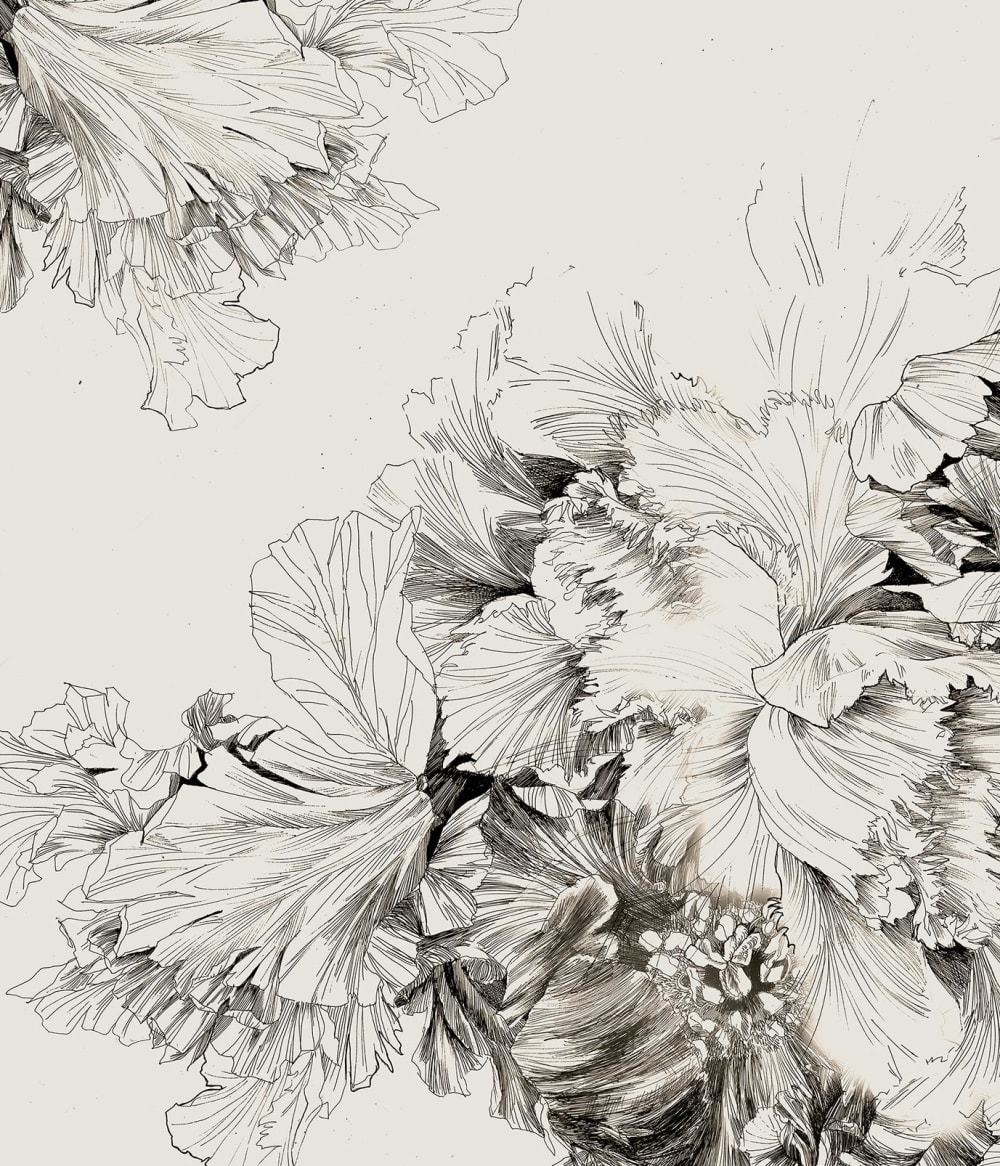 Fond de hotte décorative, fleurs au fusain noir et blanc 60x70  cm