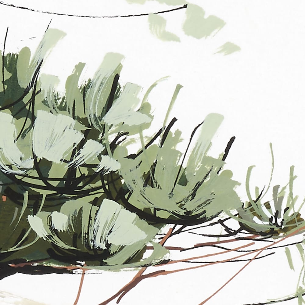Papier peint pins du bassin, 450 x 250cm — vue 4