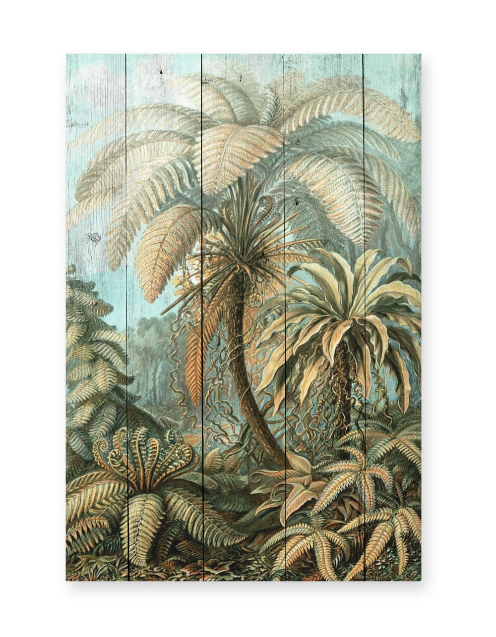 Surdic Panneau décoratif en bois 60x40 Palmier vintage Multicolore