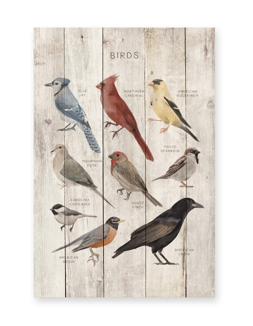 Surdic Panneau décoratif en bois 60x40 Oiseaux Multicolore
