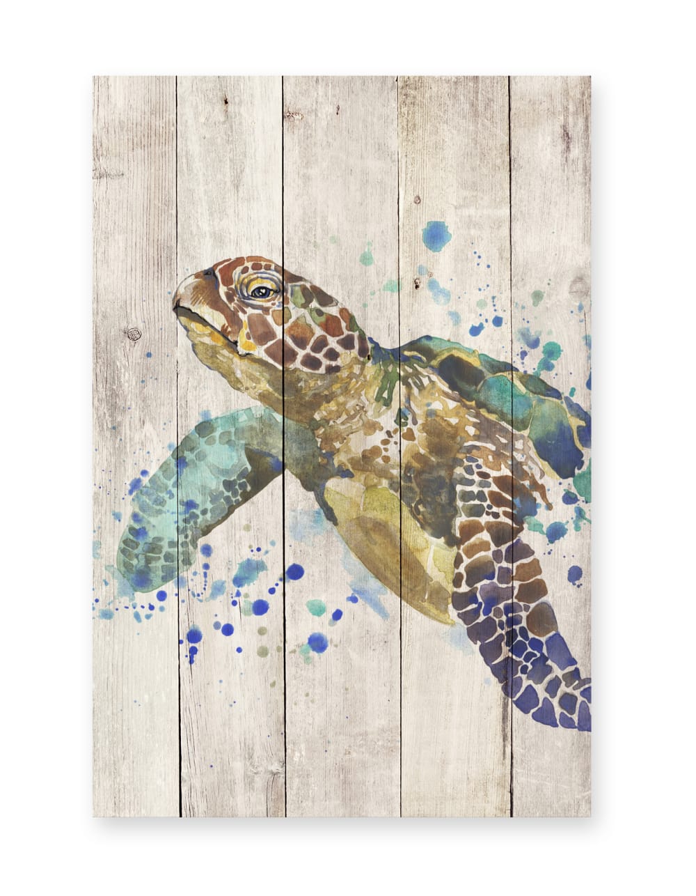 Surdic Panneau décoratif en bois 60x40 Tortue à l'aquarelle Multicolore
