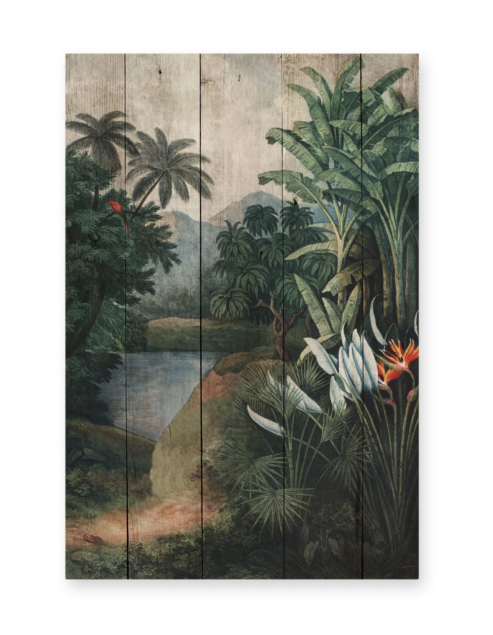 Surdic Panneau décoratif en bois 60x40 Jungle tropicale Multicolore