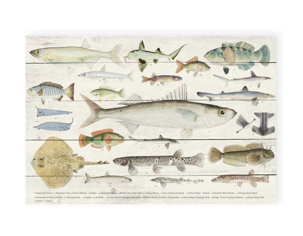 Surdic Panneau décoratif en bois 60x40 Poissons Multicolore
