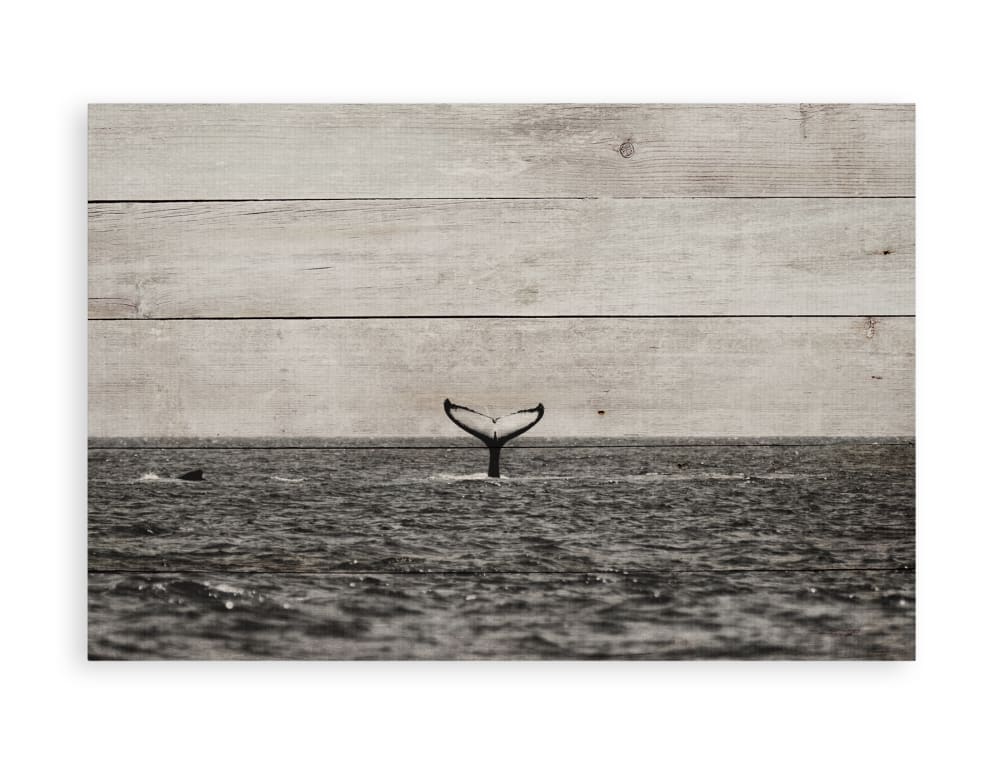 Surdic Panneau décoratif en bois 60x40 Baleine dans la mer Multicolore