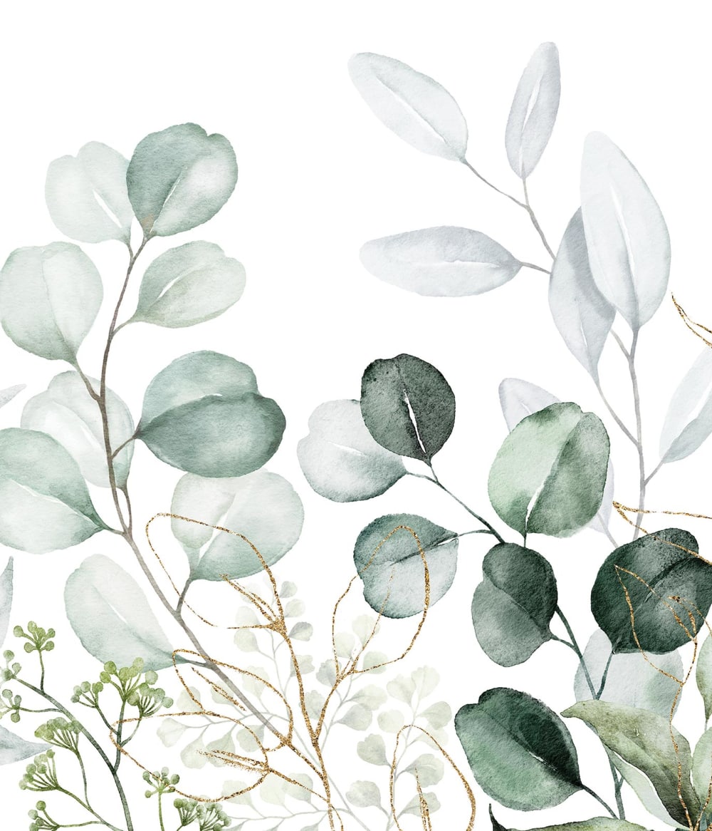 Fond de hotte décorative, eucalytus vert 60x70  cm