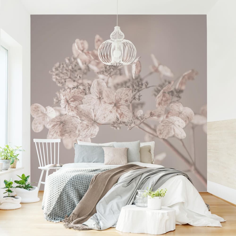 micasia Fototapete aus Vlies - Zarte weiße Hortensie, beige 240 x 240 cm Öko-Tex Zertifikat - Vlies