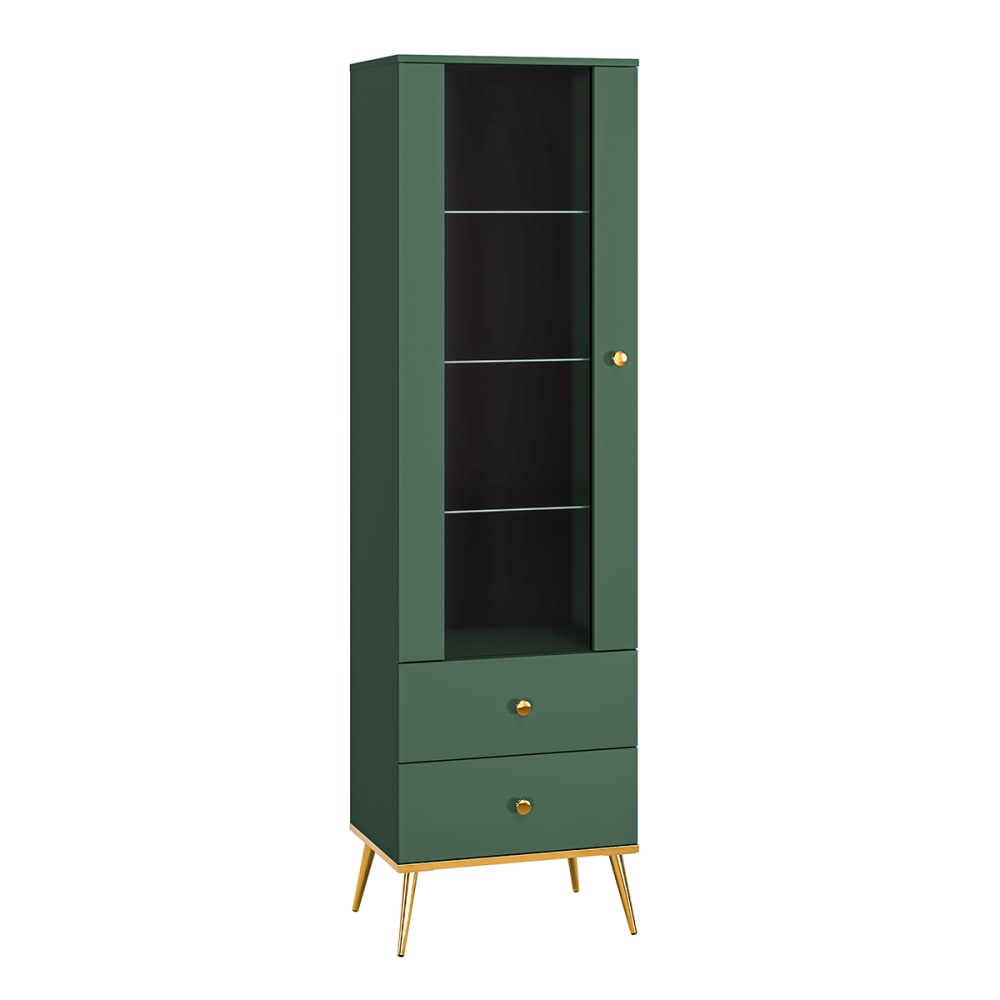 Vitrine 1 porte 2 tiroirs stratifiés vert
