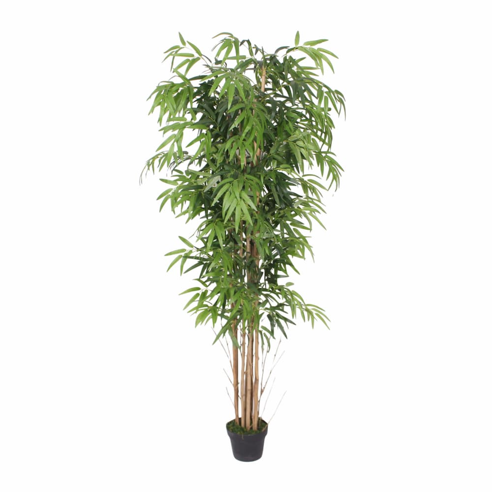 Plante artificielle Bambou en pot, H 180 cm Plante artificielle Bambou en pot, H 180 cm