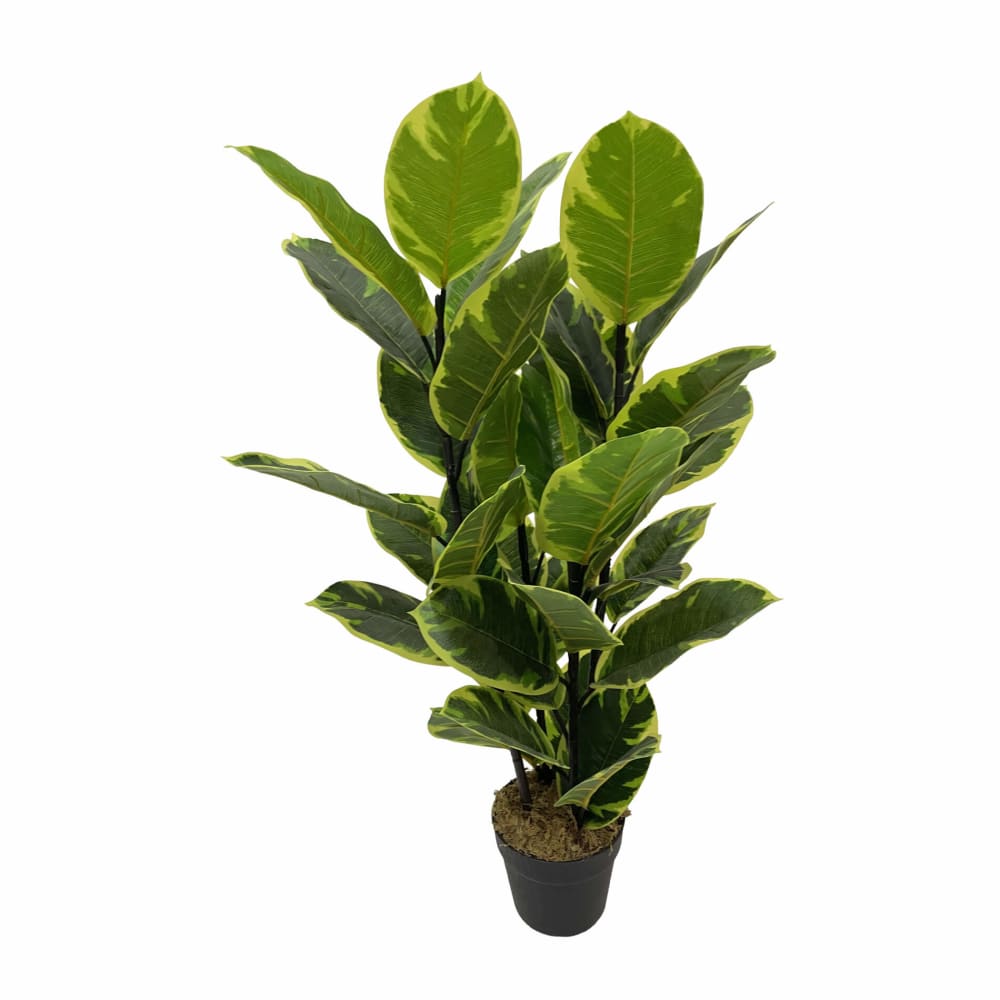 Plante artificielle de Ficus Indiano en pot, H 90 cm Plante artificielle de Ficus Indiano en pot, H 90 cm