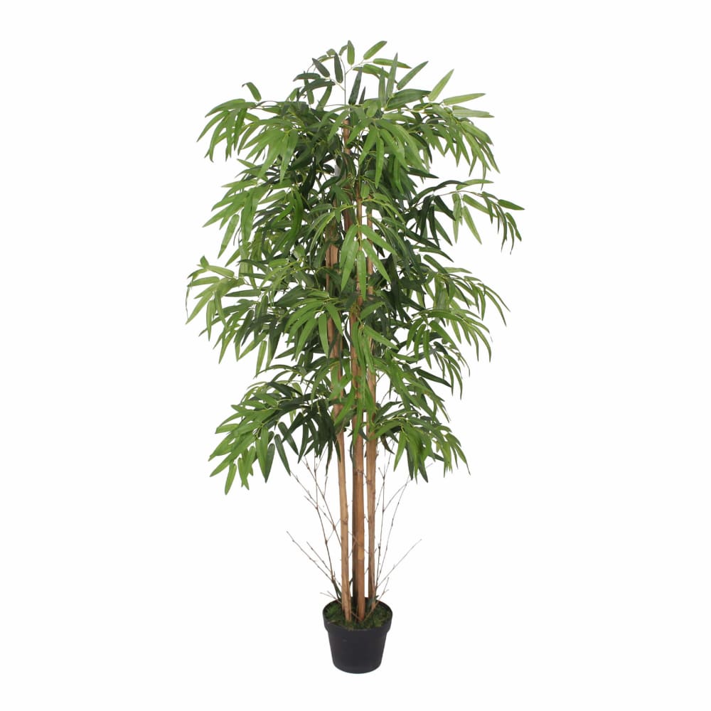 Plante artificielle Bambou en pot, H 150 cm Plante artificielle Bambou en pot, H 150 cm