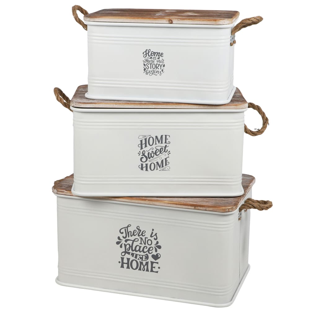 Natural Living Set de 3 malles en métal blanc et bois 60x38x33cm