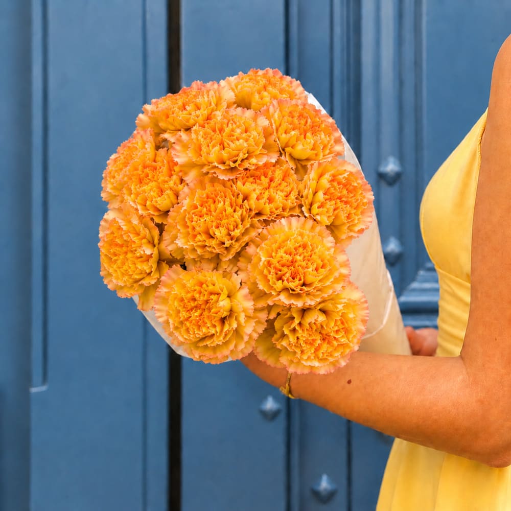 Tige d'œillet artificielle avec feuillage orange h55 - Maisons du Monde