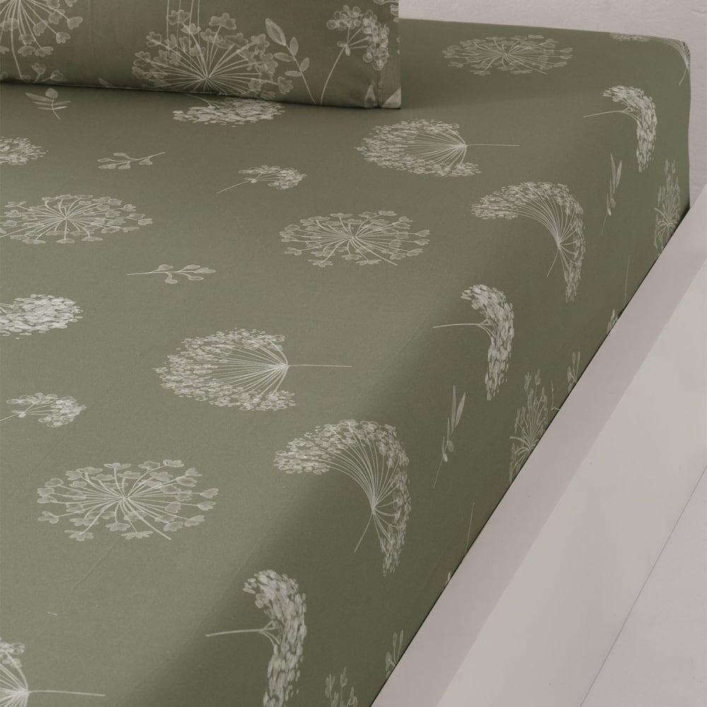 Drap housse en percale de coton bonnet 30 cm  sauge 180x200 cm
