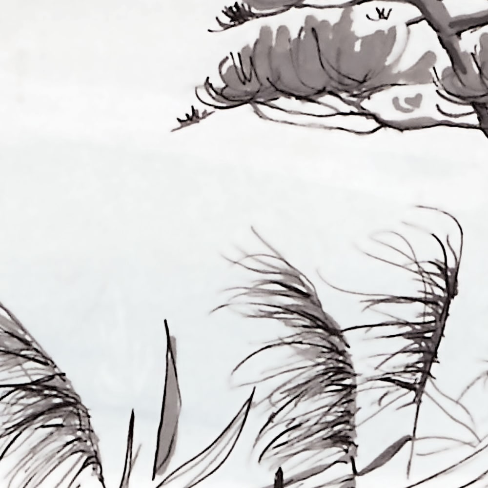 Papier peint sur les bords du lac, noir 450 x 250cm — vue 4