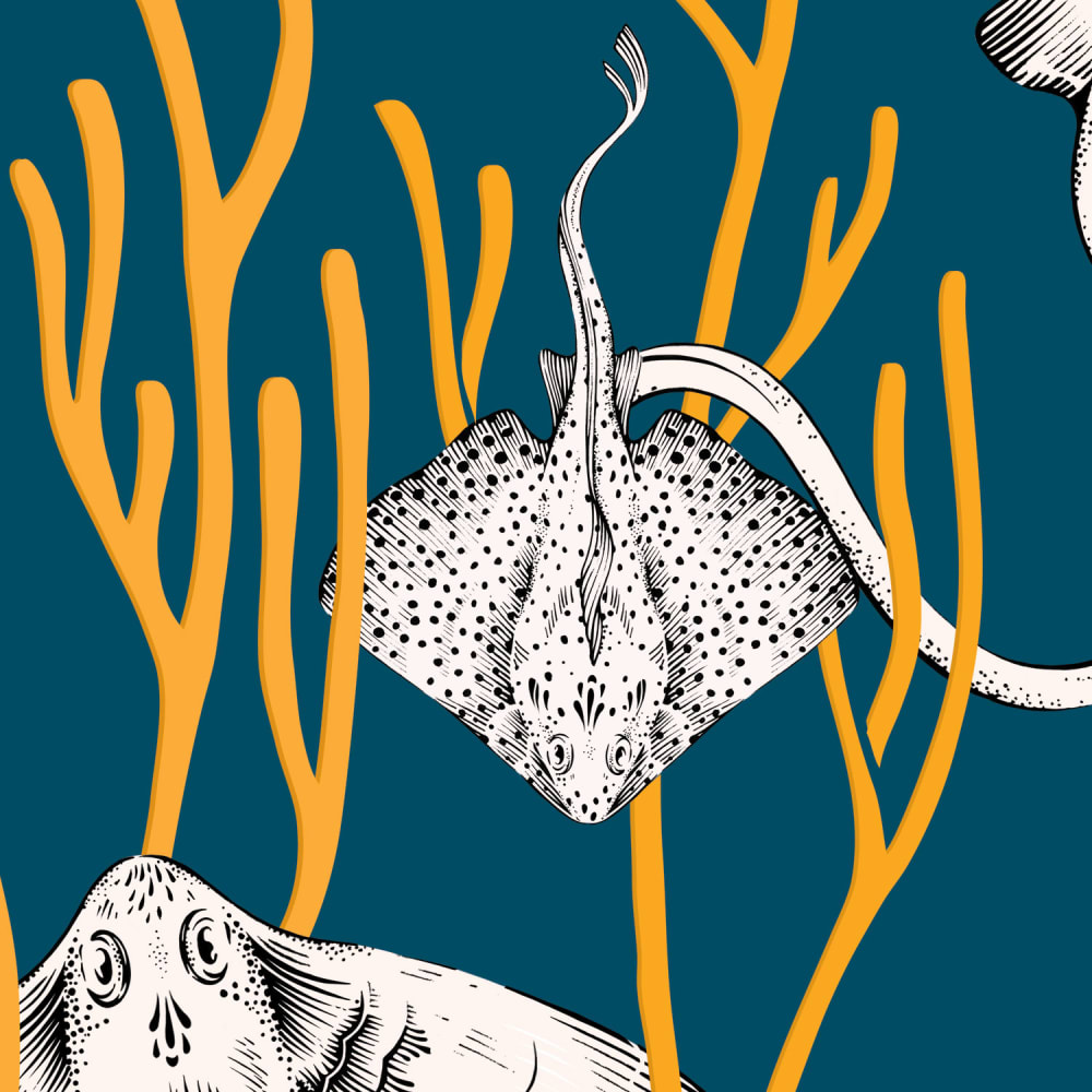 Papier peint narinari, bleu 450 x 250cm — vue 4