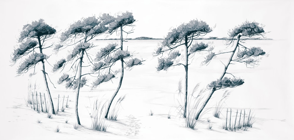 Papier peint panoramique Plage du bassin, Gris 225 x 250cm