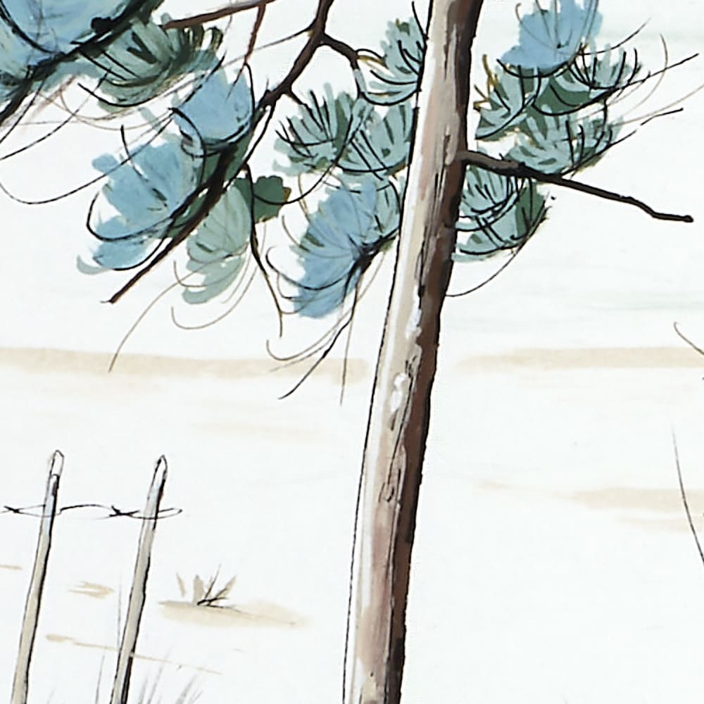 Papier peint plage du bassin, couleurs 300 x 250cm — vue 4