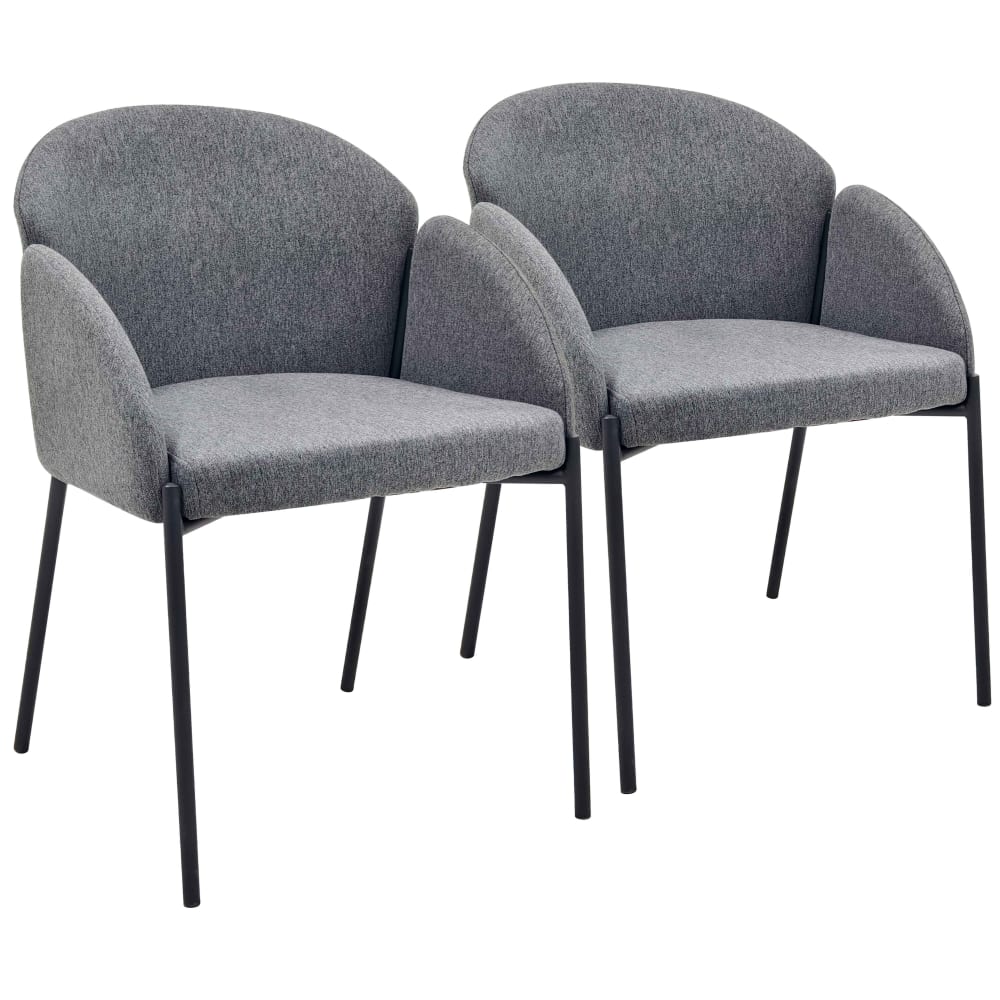 Lot de 2 chaises en acier