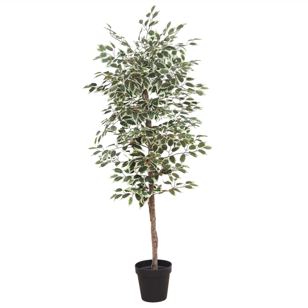 Ficus artificiel panaché 180cm - Maisons du Monde