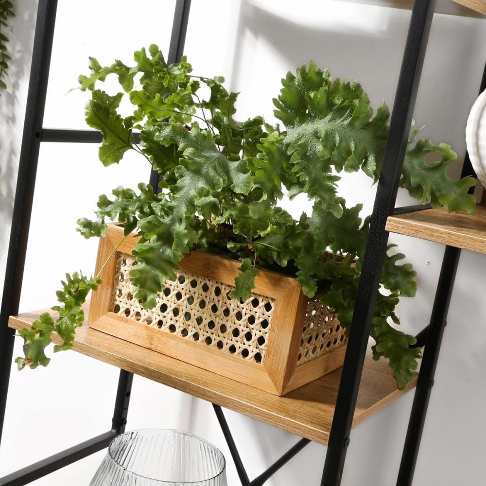 Boîte en bambou et rotin petit modèle - l25x18x12 cm - Maisons du Monde