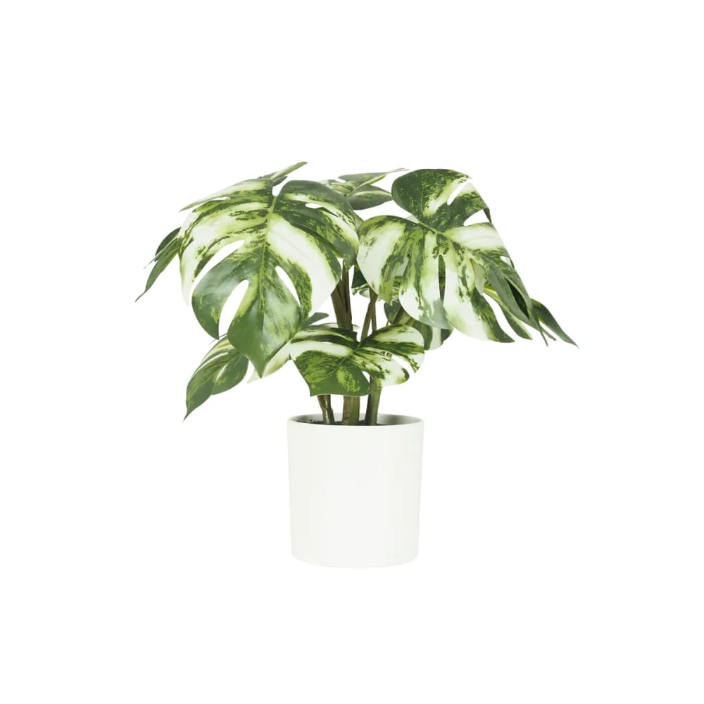Monstera artificiel variegata toucher réel 35cm