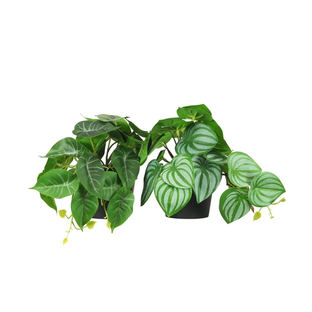 Plante artificielle tombante 18cm lot de 2 Plante artificielle tombante 18cm lot de 2