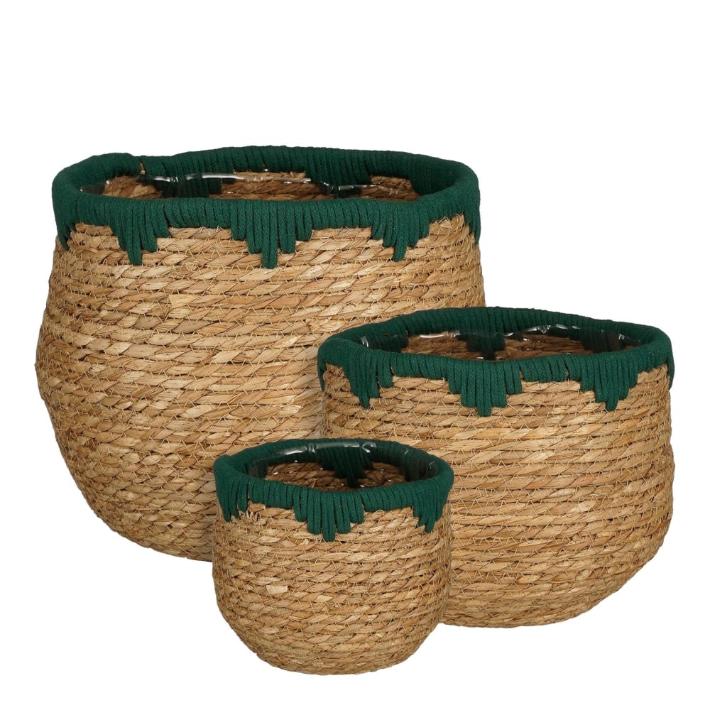 Ensemble de paniers pour - plantes