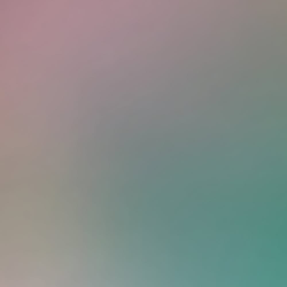 Papier peint stella, couleurs 450 x 250cm — vue 4