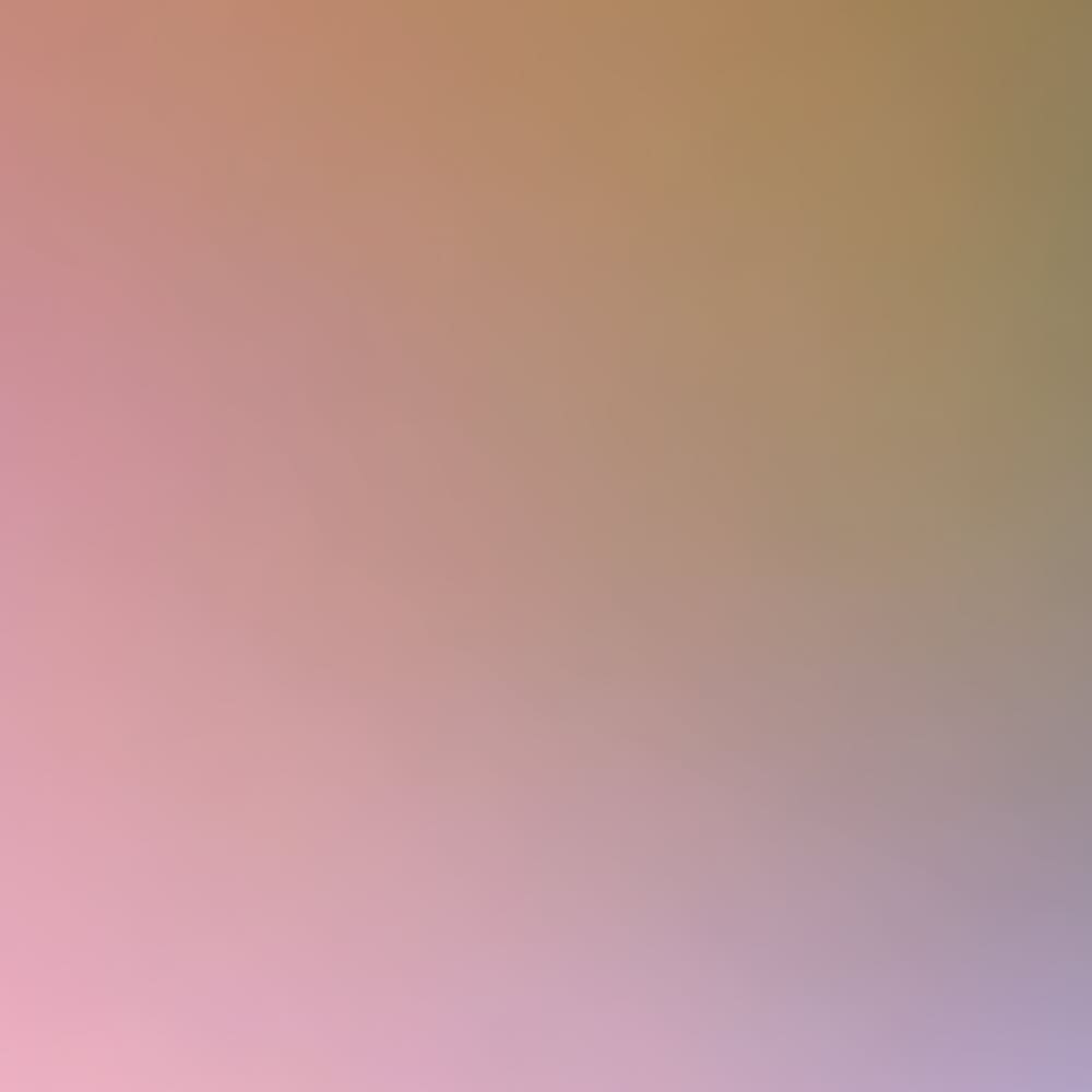 Papier peint alta, couleurs 375 x 250cm — vue 4
