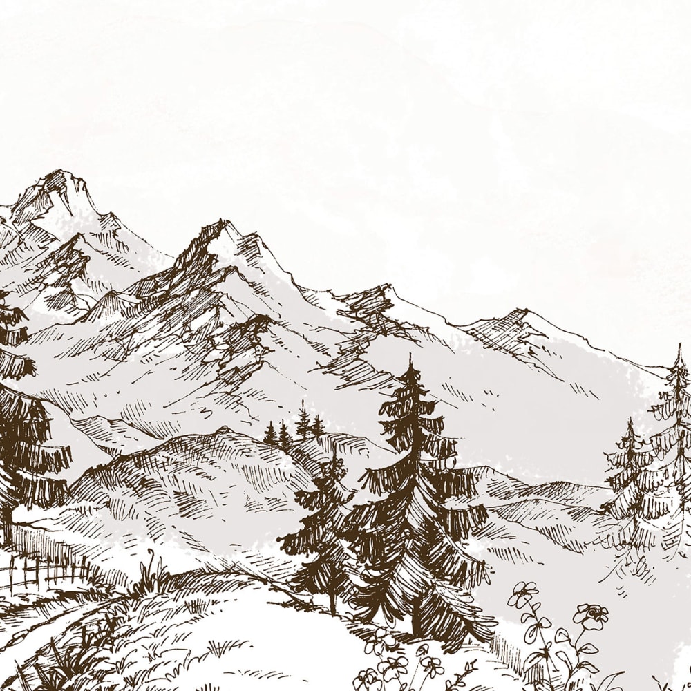 Papier peint dessin d'alpage 312x270 cm — vue 4