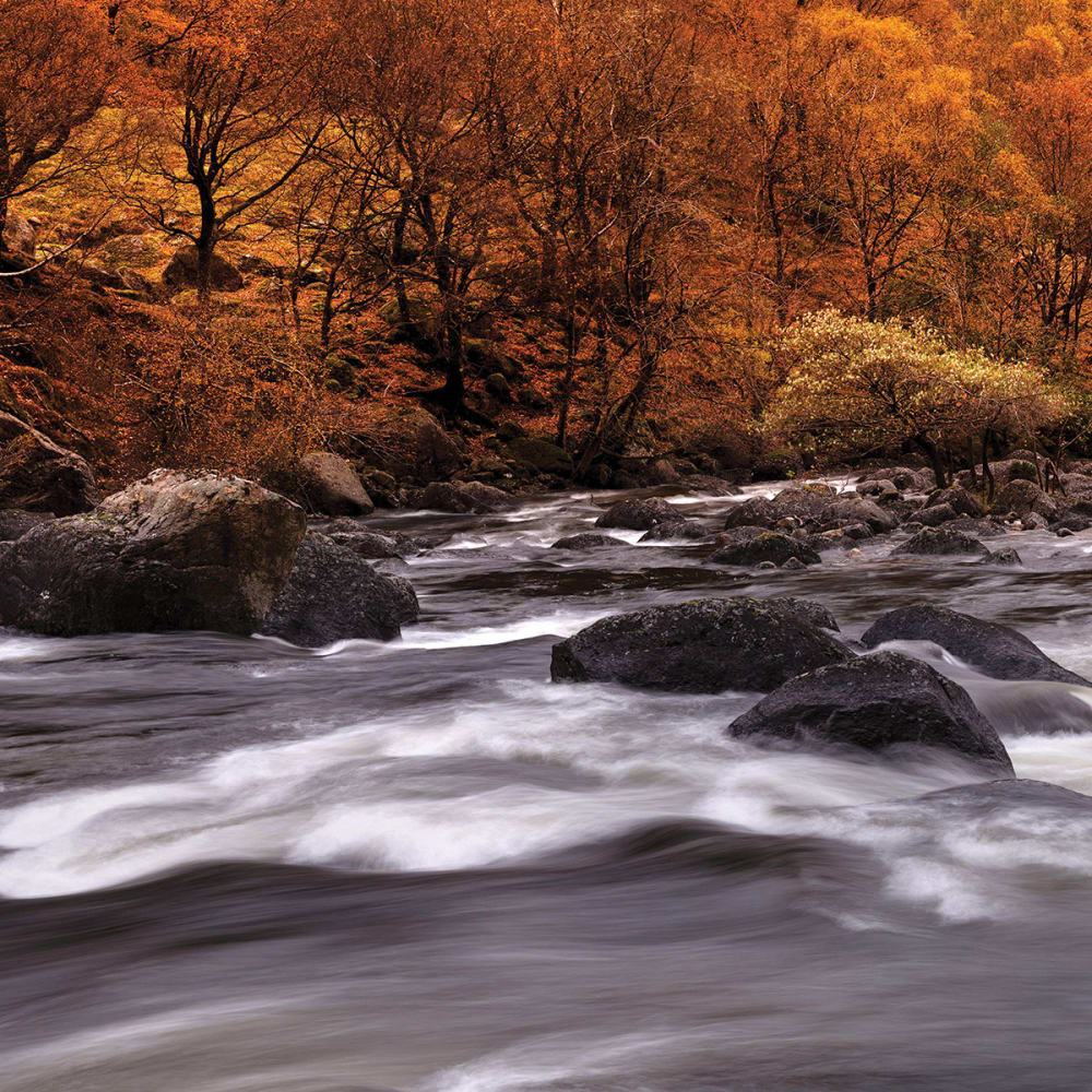 Papier peint rivière en automne 364x270 cm — vue 4
