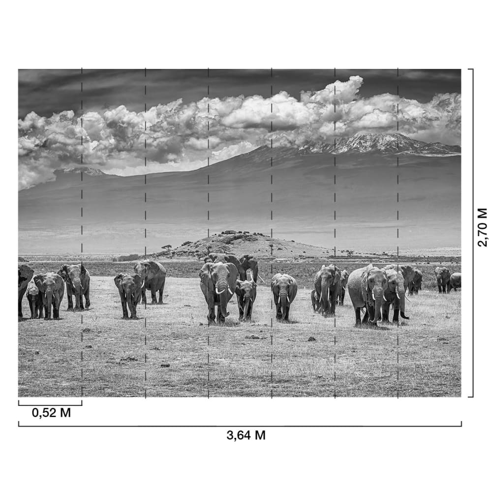 Papier peint éléphants devant le kilimanjaro 364x270 cm — vue 3